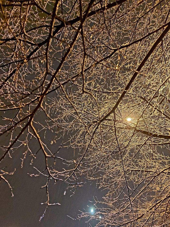 the first snow