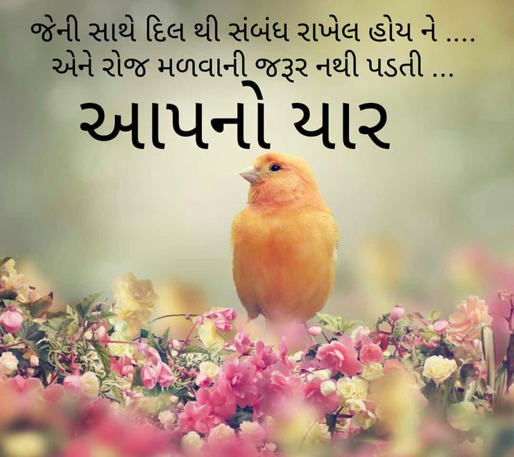 Aapka yar