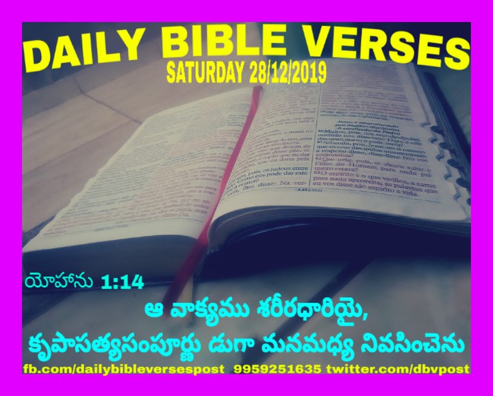 DAILY BIBLE VERSES
