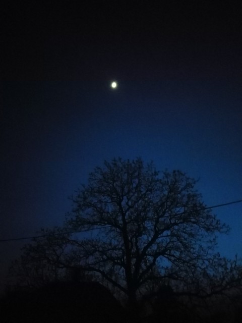 moon