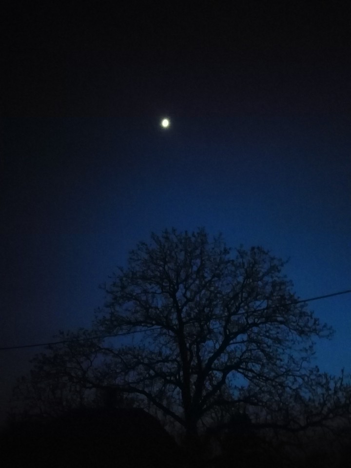 moon