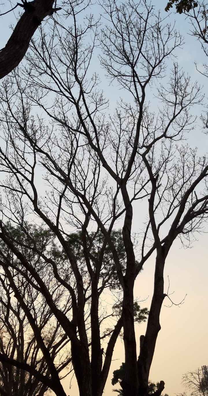Captured by Samsung galaxy A7 by Tanjib srabon