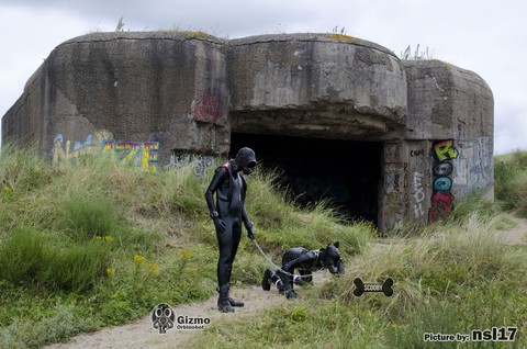 Rubber Drone & Puppy