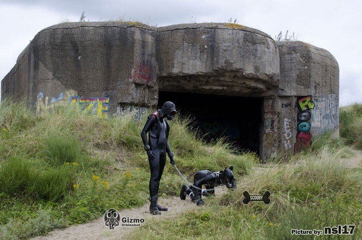Rubber Drone & Puppy