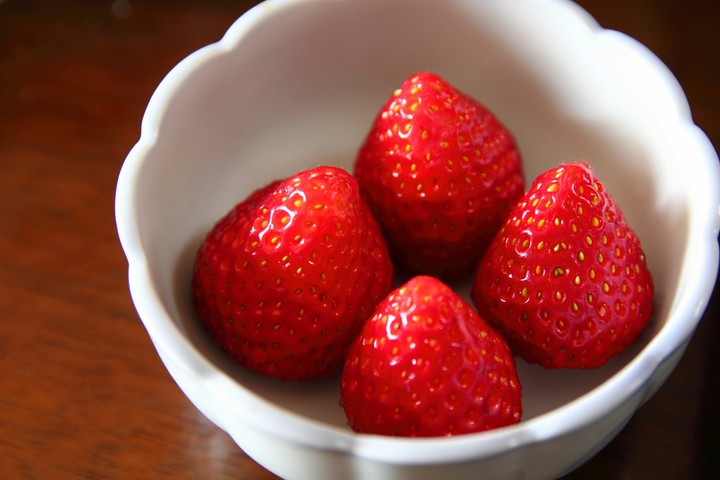 fruit