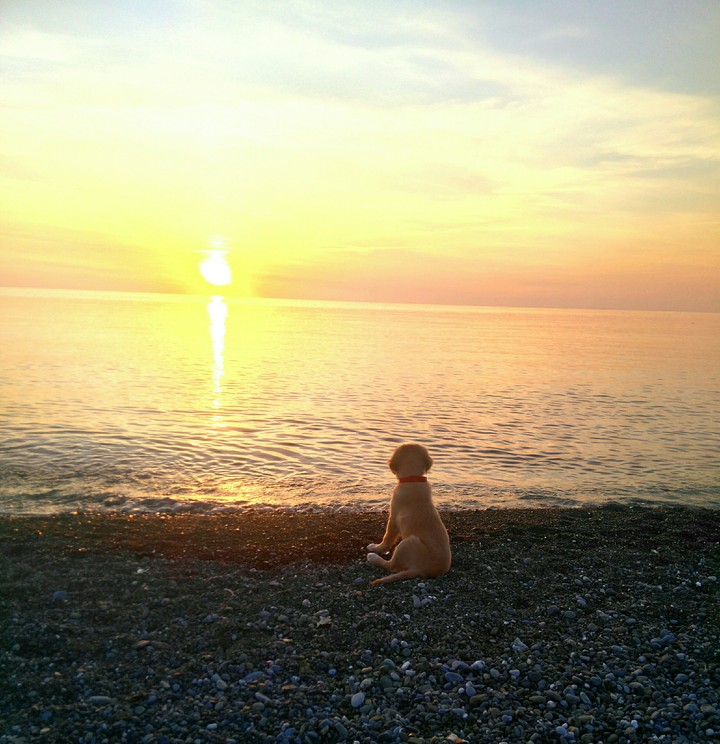 sunset