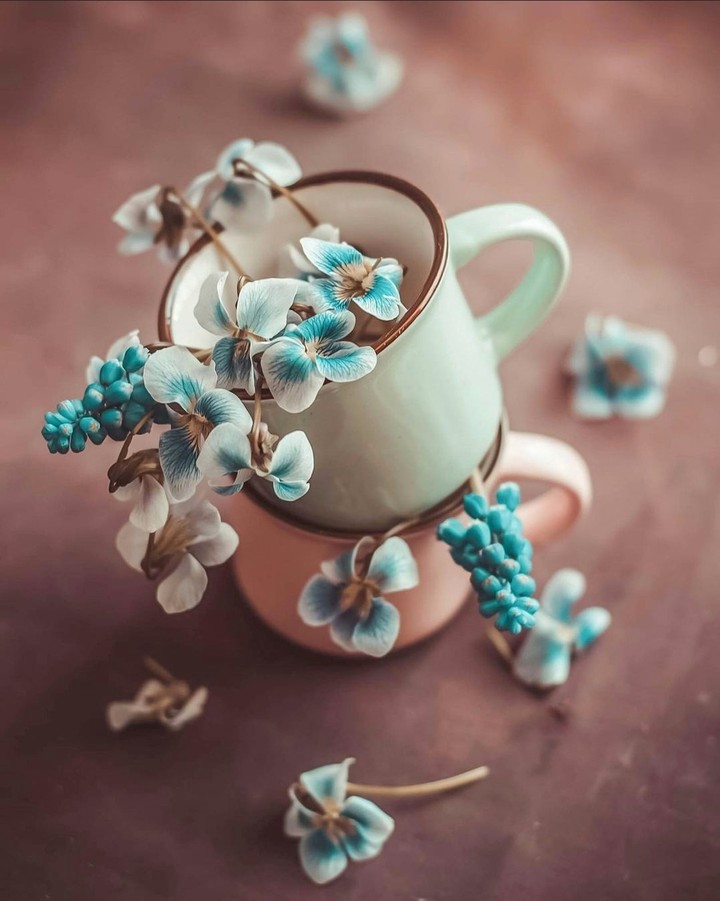 Cup & flower