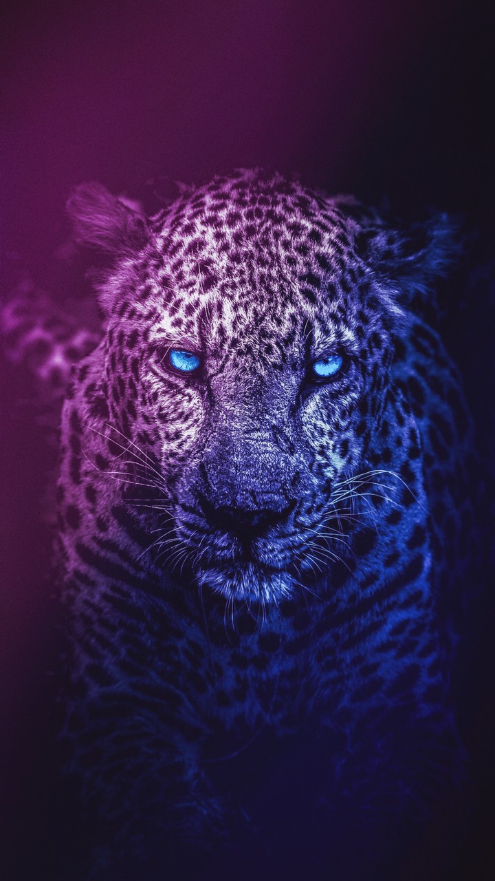 н