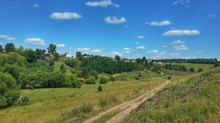 nature