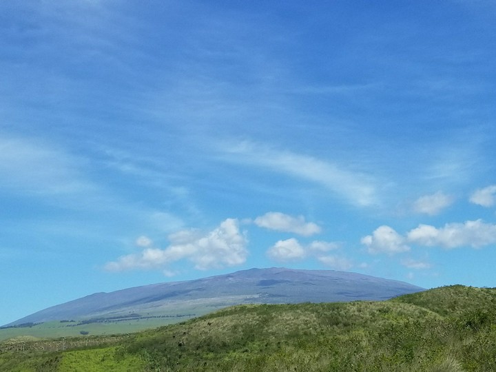 Peaceful Drive