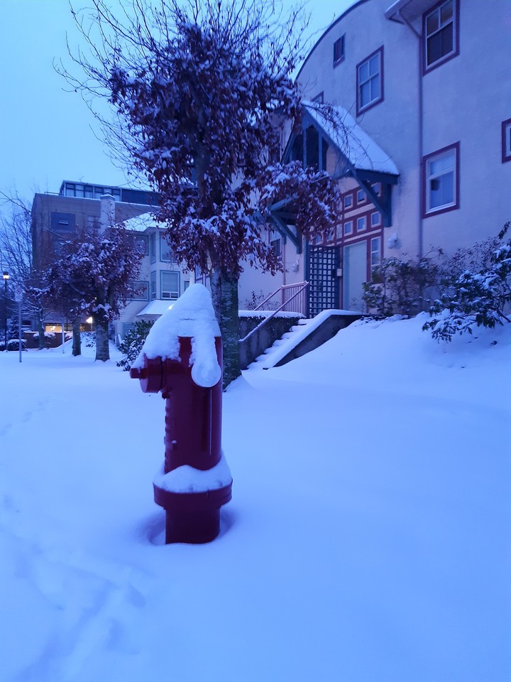 snow