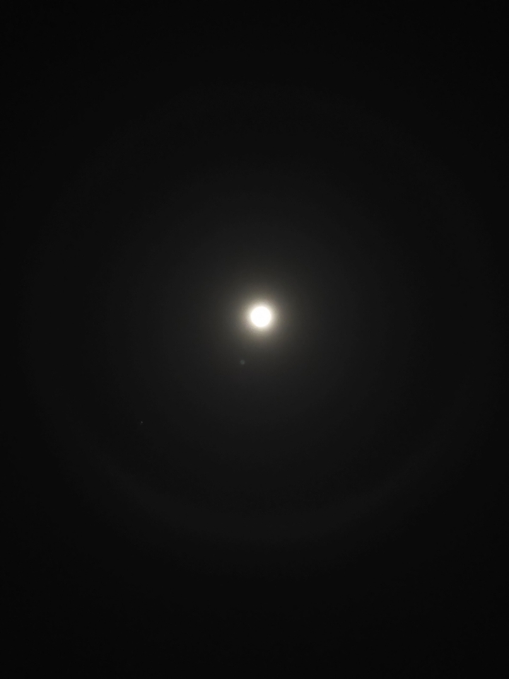Lunaris Cicles