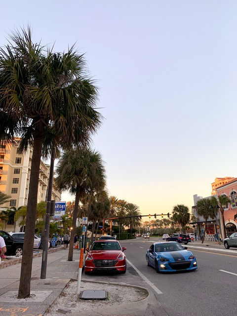 Florida vibe