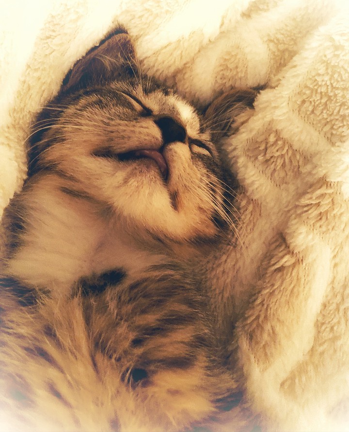 Sweet Dream