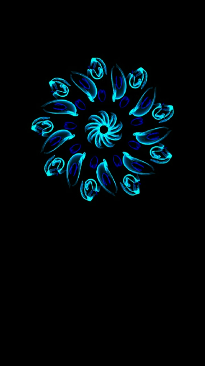 Artistic flowers 329