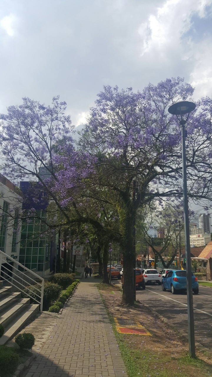 Spring