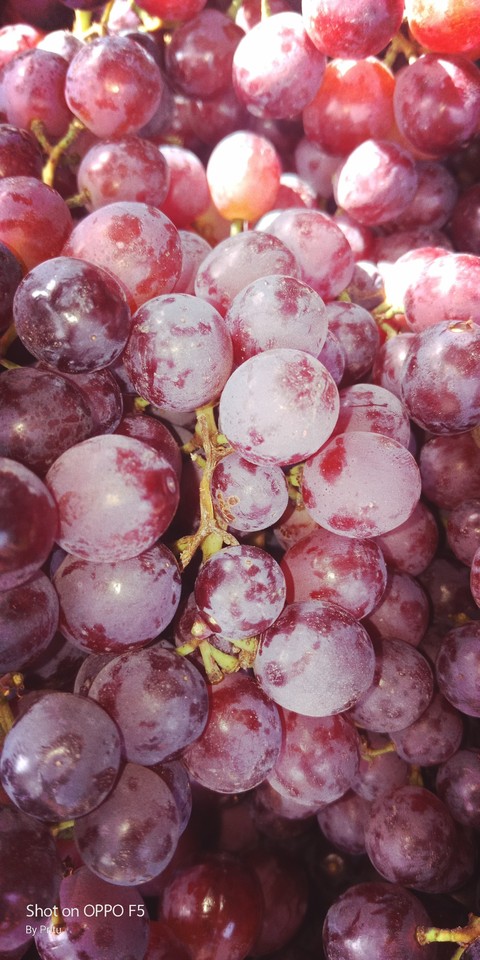 grapes