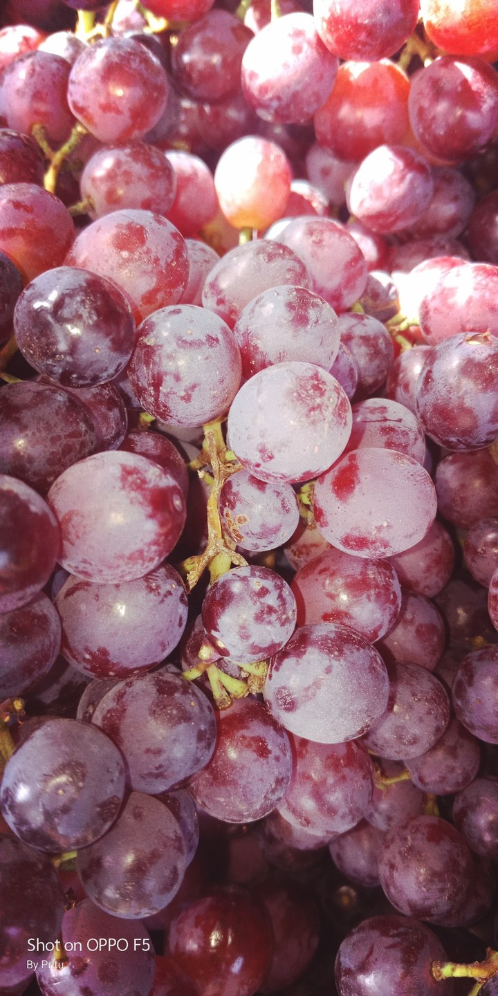 grapes