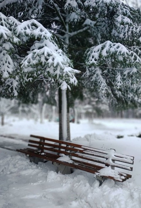 winter