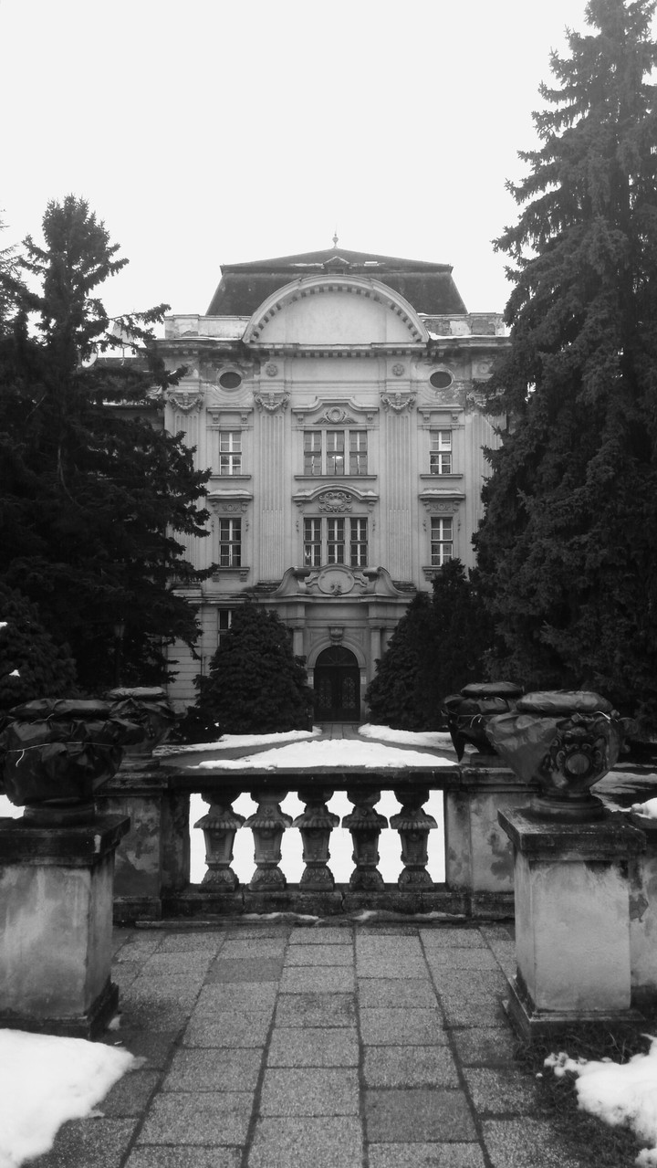 Szent István university
