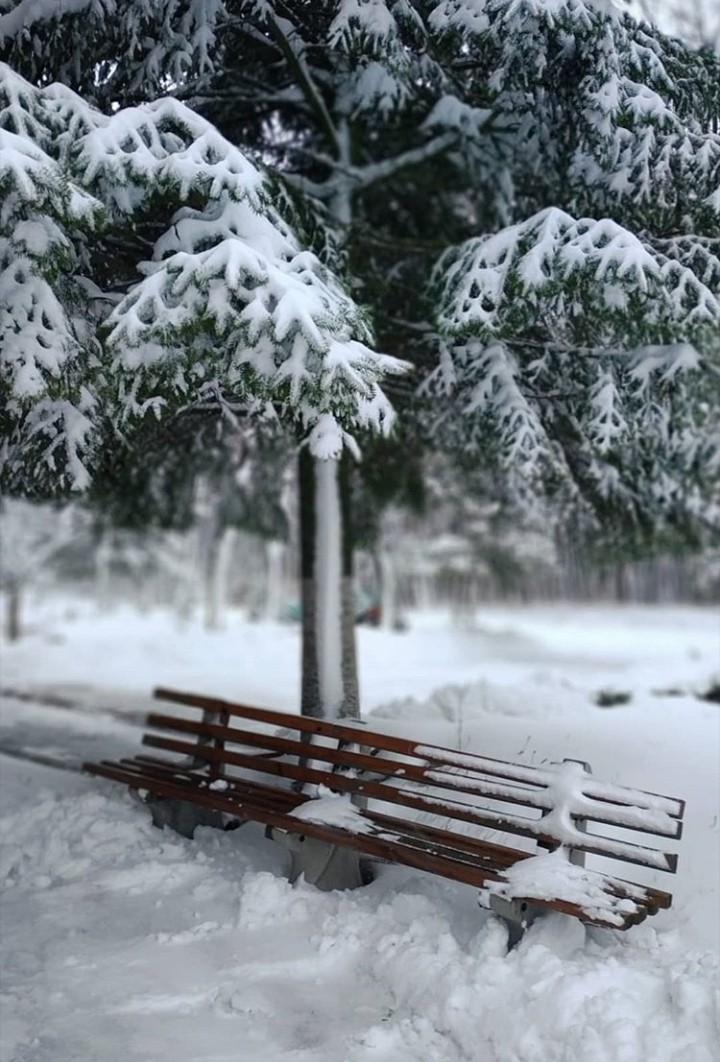 winter