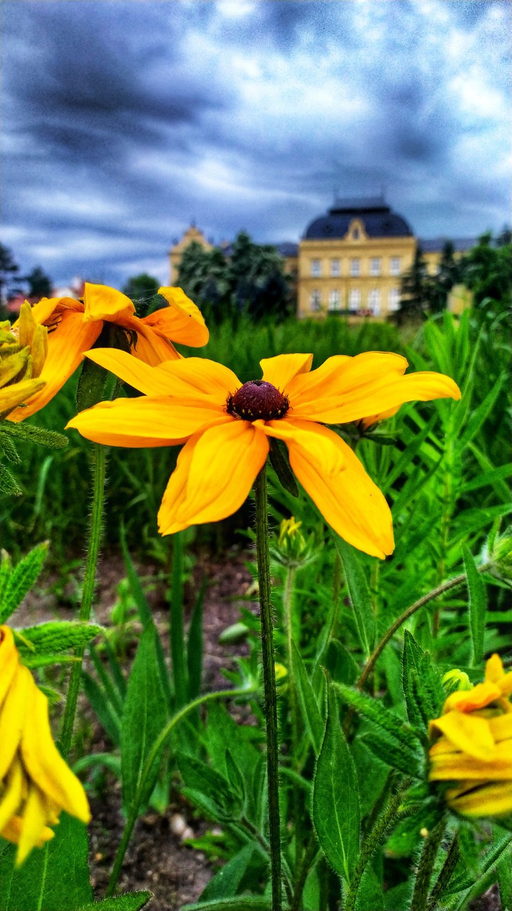 before rain