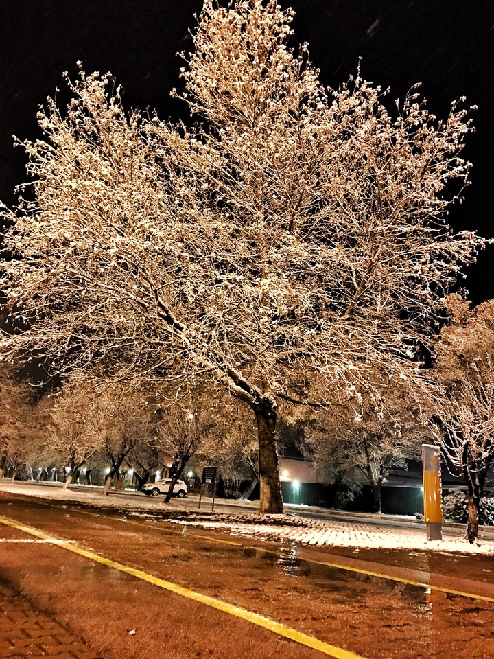 Bursa - Özdilek