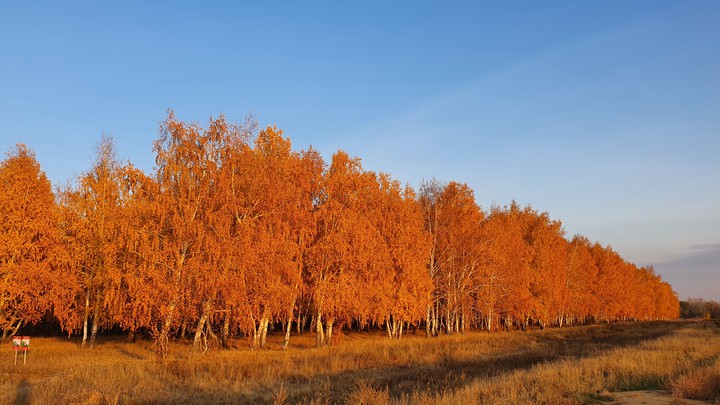 осень