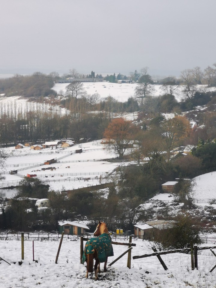 snowy hills
