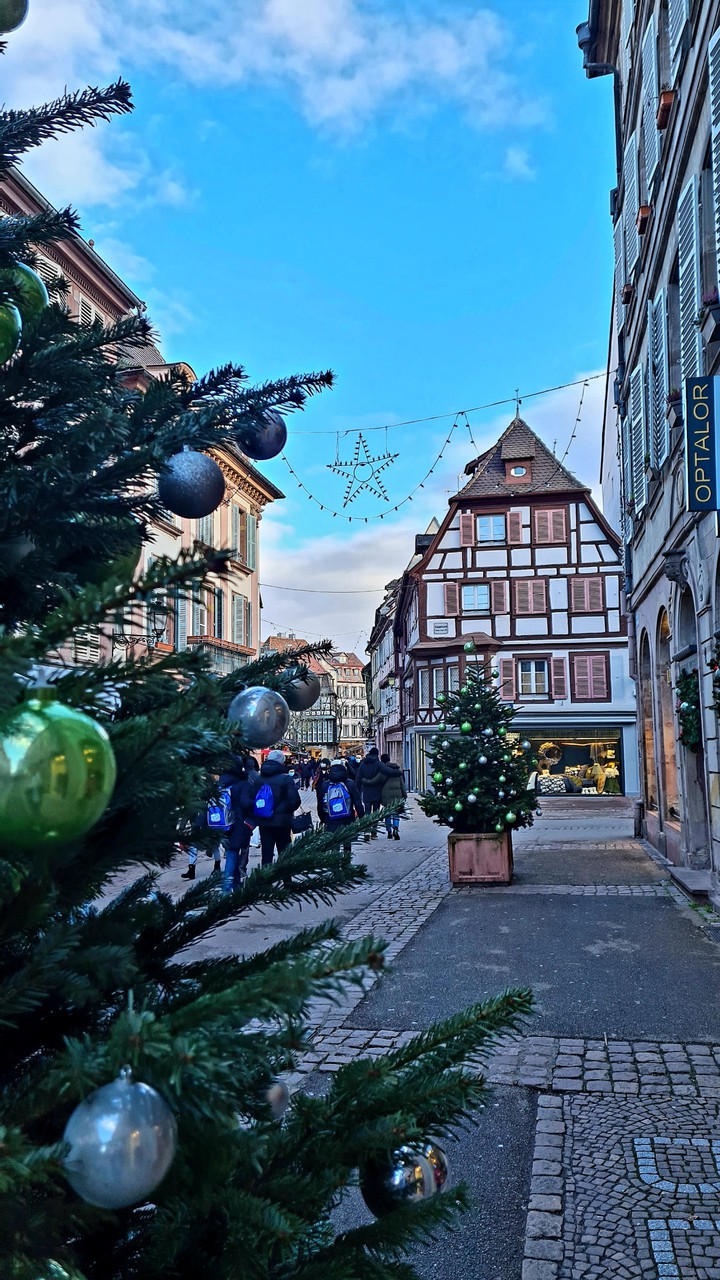 Colmar Christmas Market