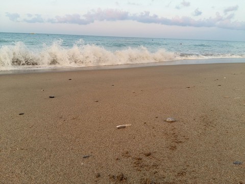 mudflat, beach háttérképek