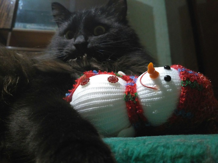 Кот и снеговик