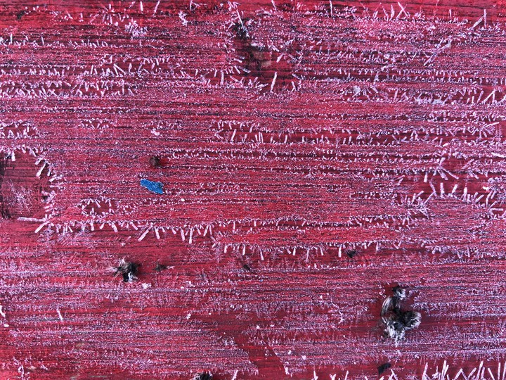 ice on a bench
