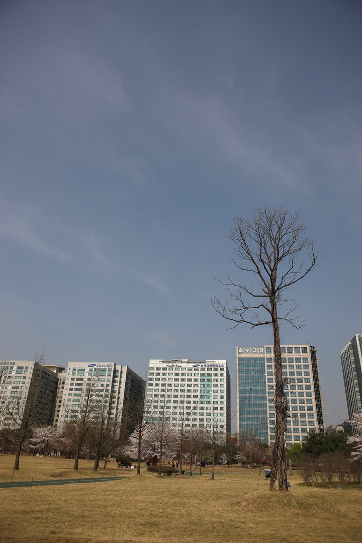 Skyscraper