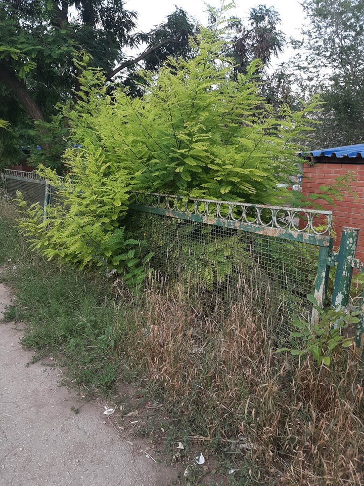 город