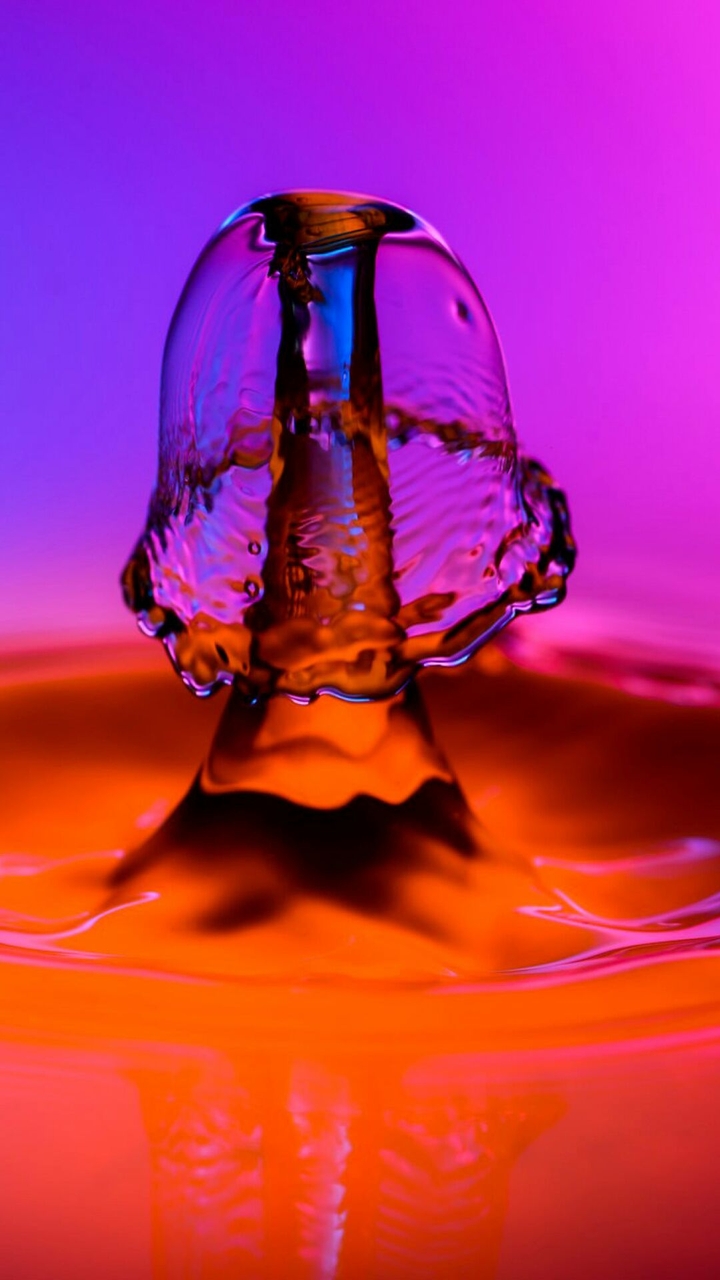 Water Mushroom.