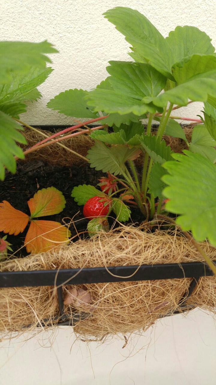 spring is here