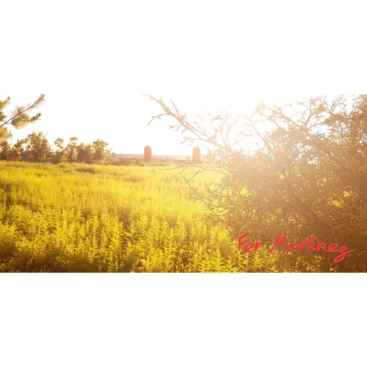 atardecer en el #campo#atardecer