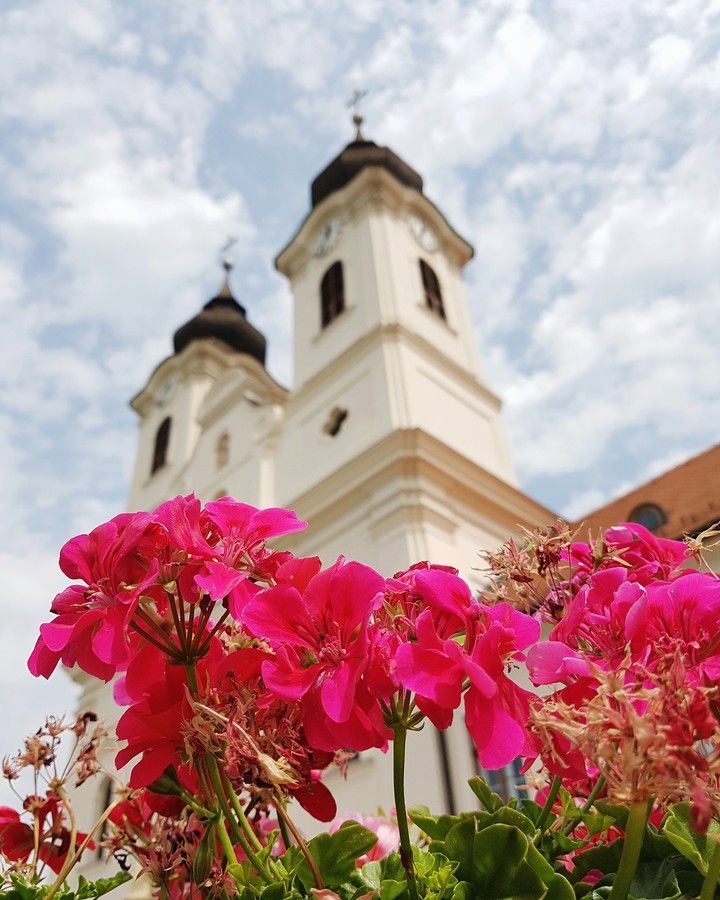 Tihany's Abbey with pink flowers