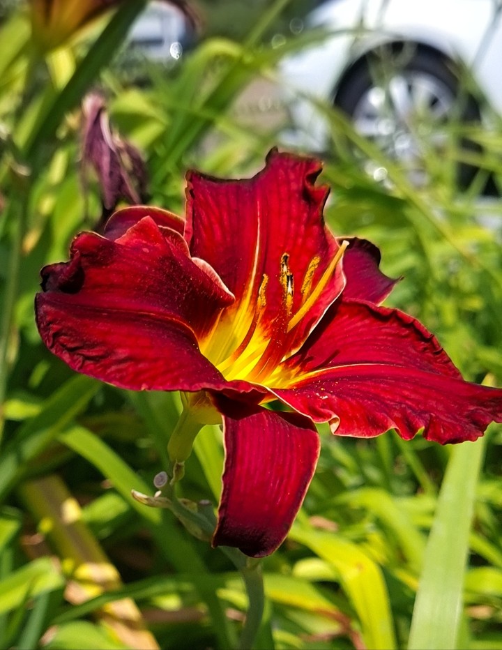 .