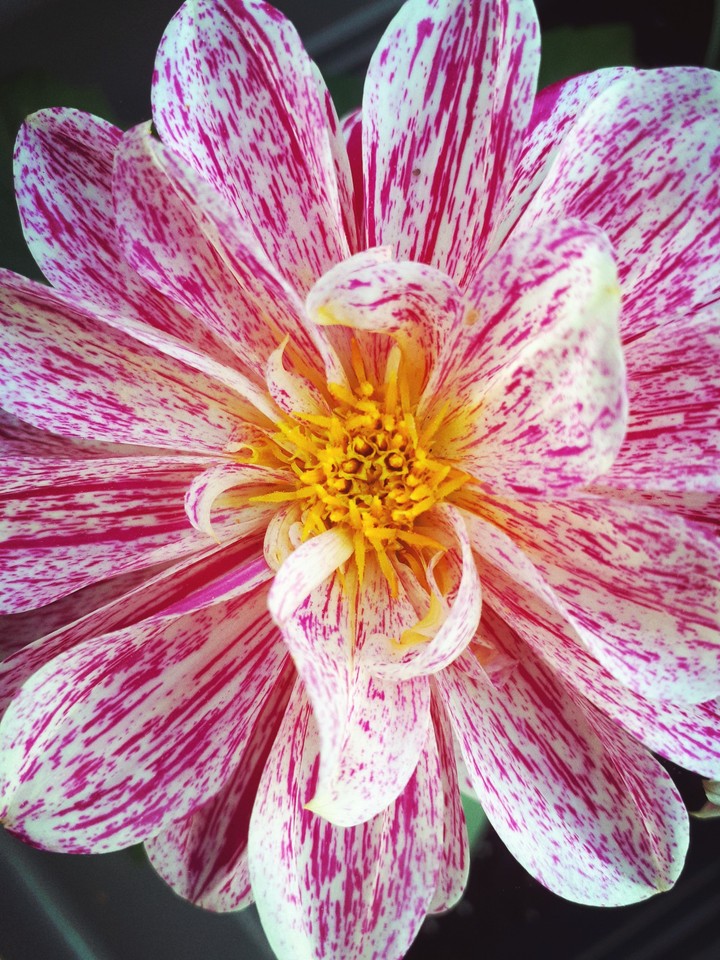 Frühling