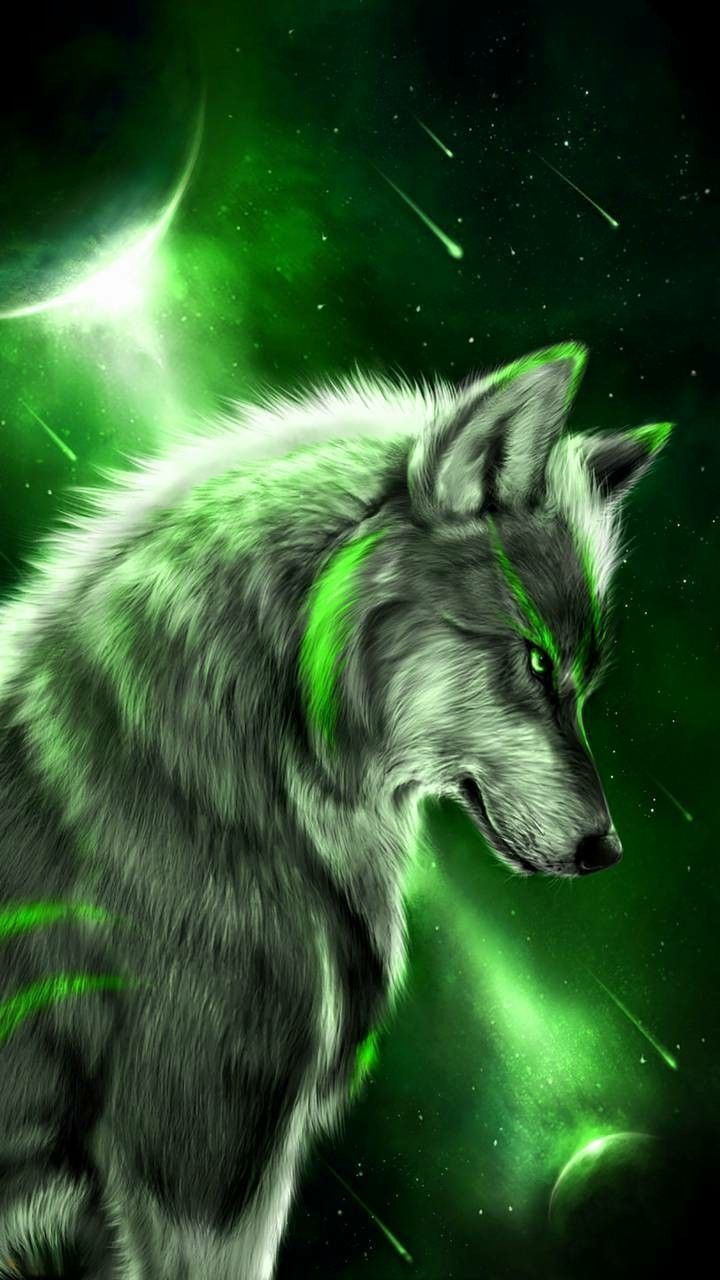 wolf
