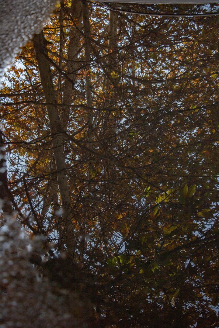 inversion