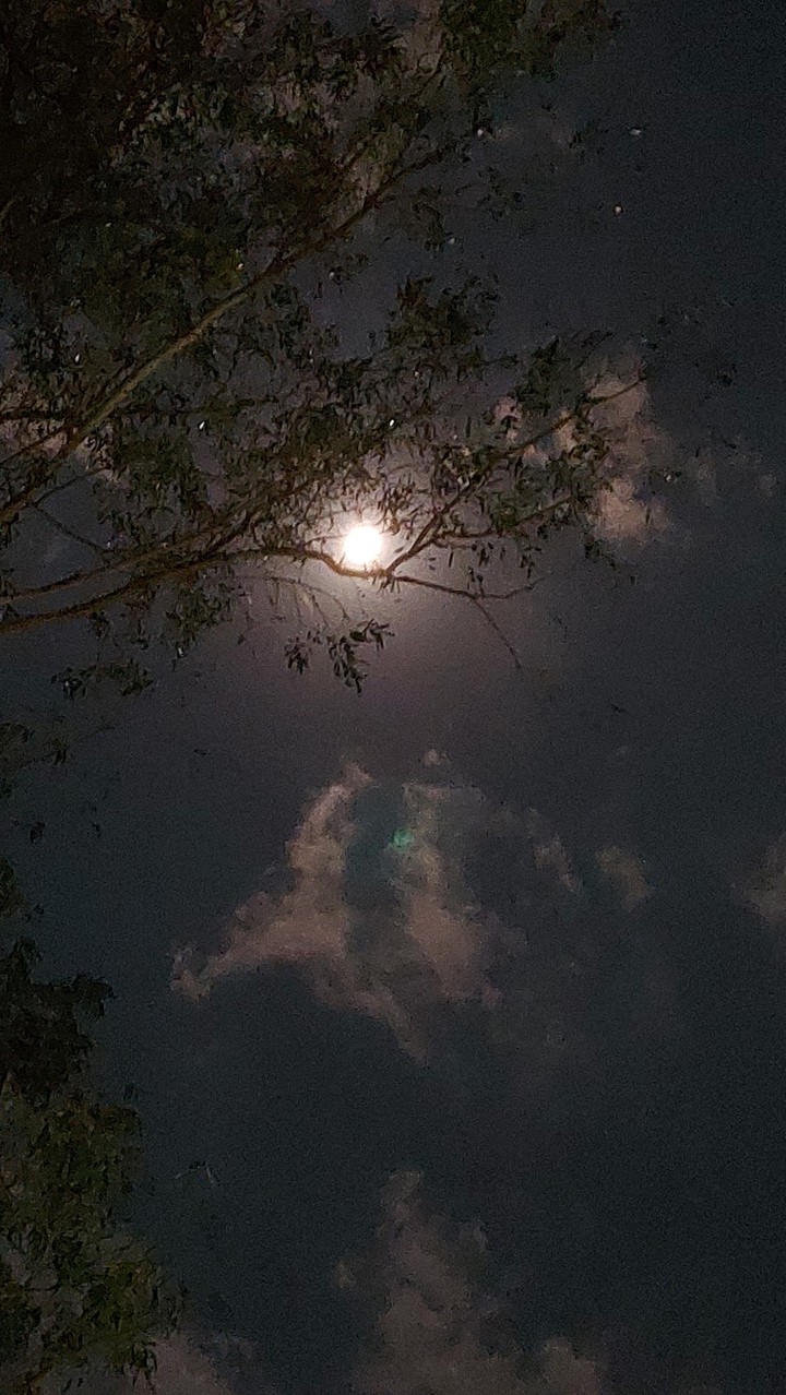 Nature photography..