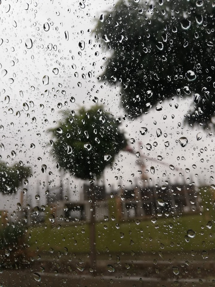 rain. iran. Islamic Azad University of karaj