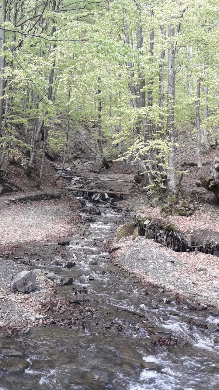 Transcarpathia