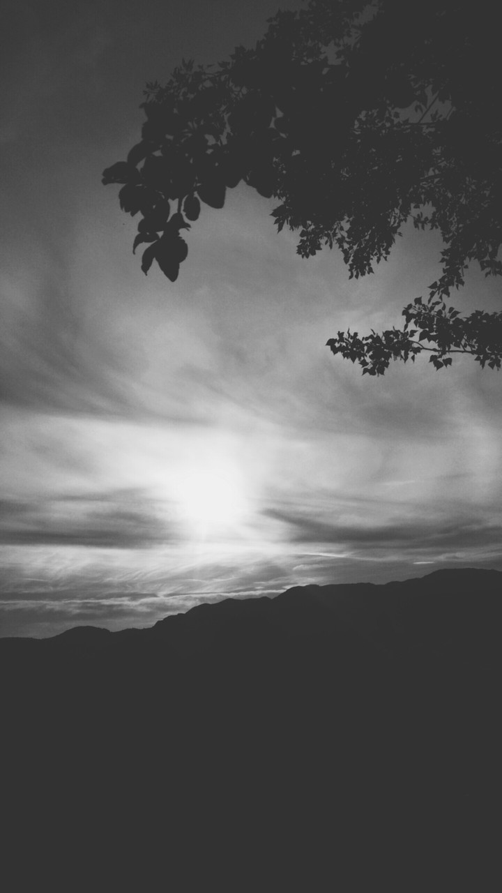 Black and white