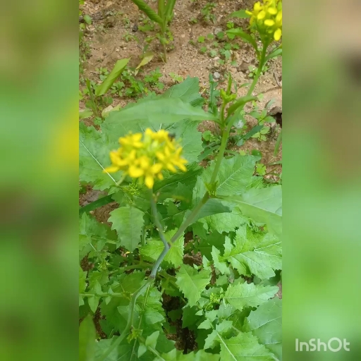❤️❤️❤️❤️❤️❤️❤️