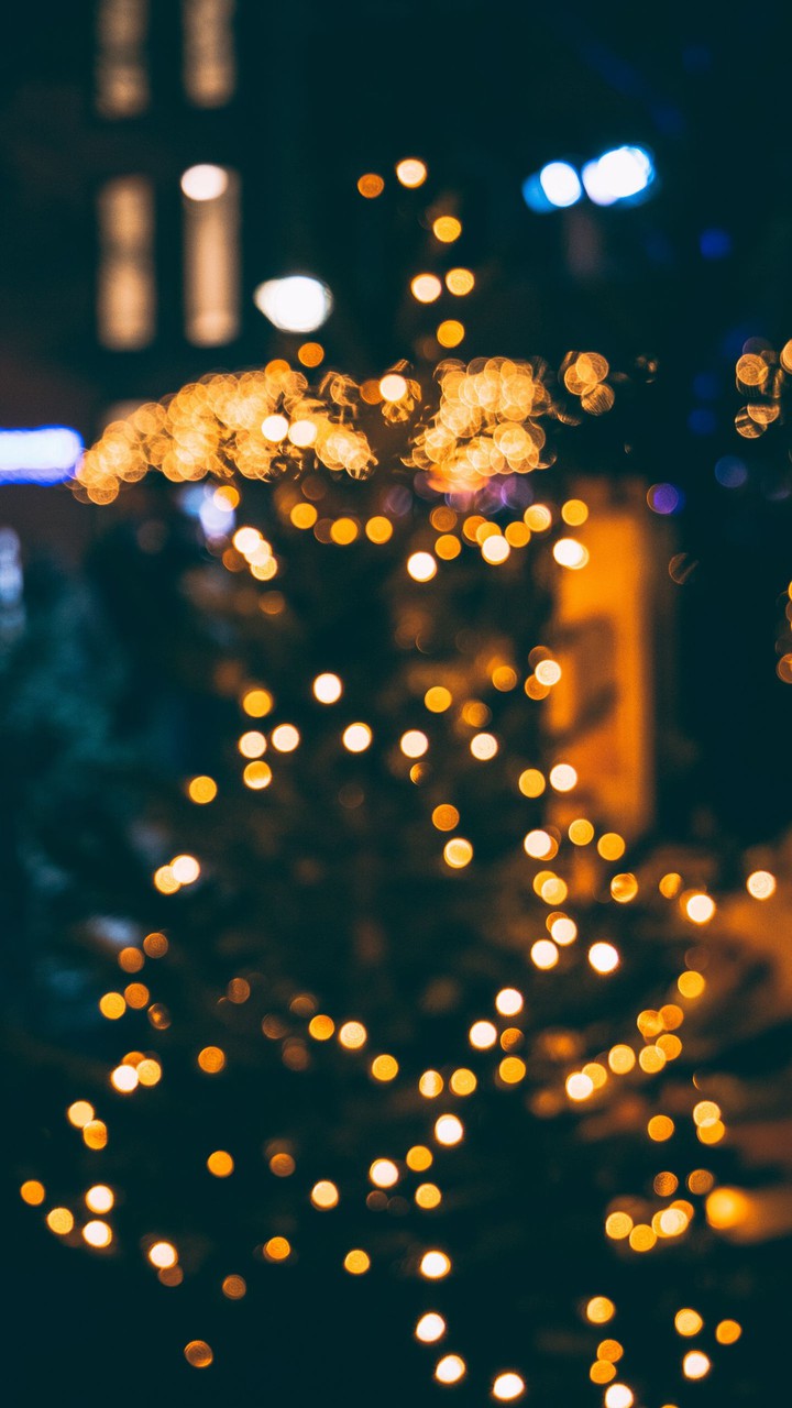 Christmas Lights