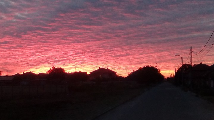 Morning
